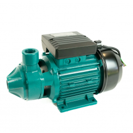 Bomba Periferica Qb60l 0.5hp Edr